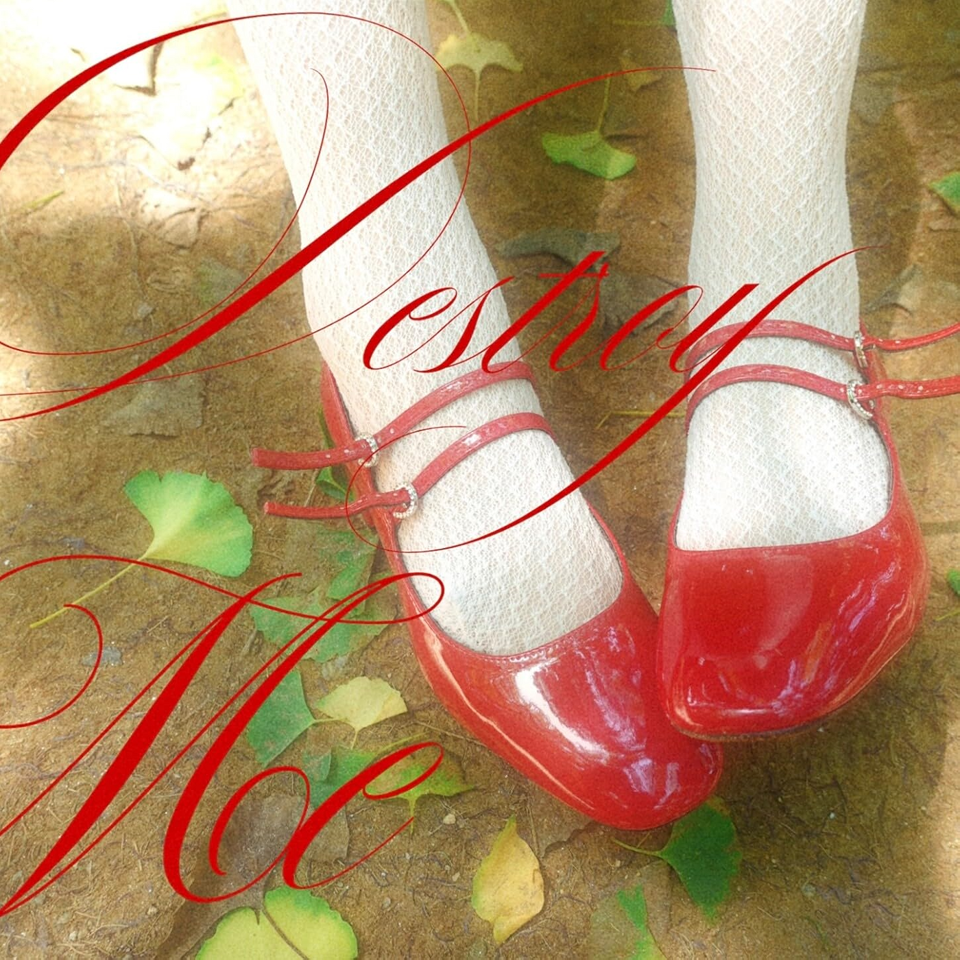 Image Cover